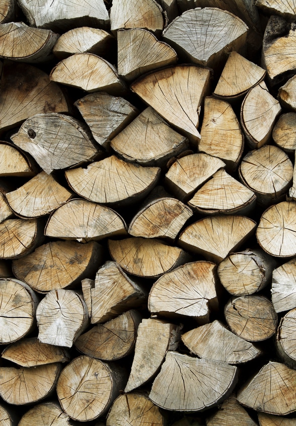 How to Keep Pests Out of Your Firewood