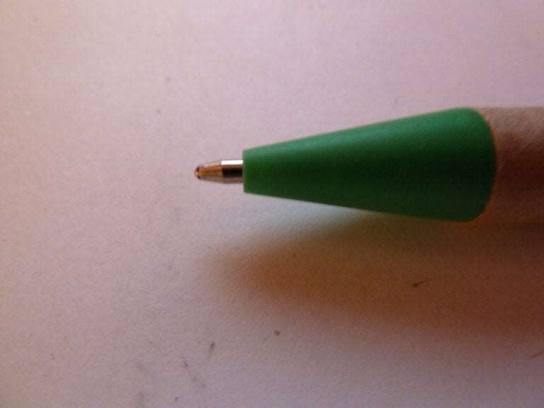 What Do Bed Bugs Look Like? Delving Pest Control