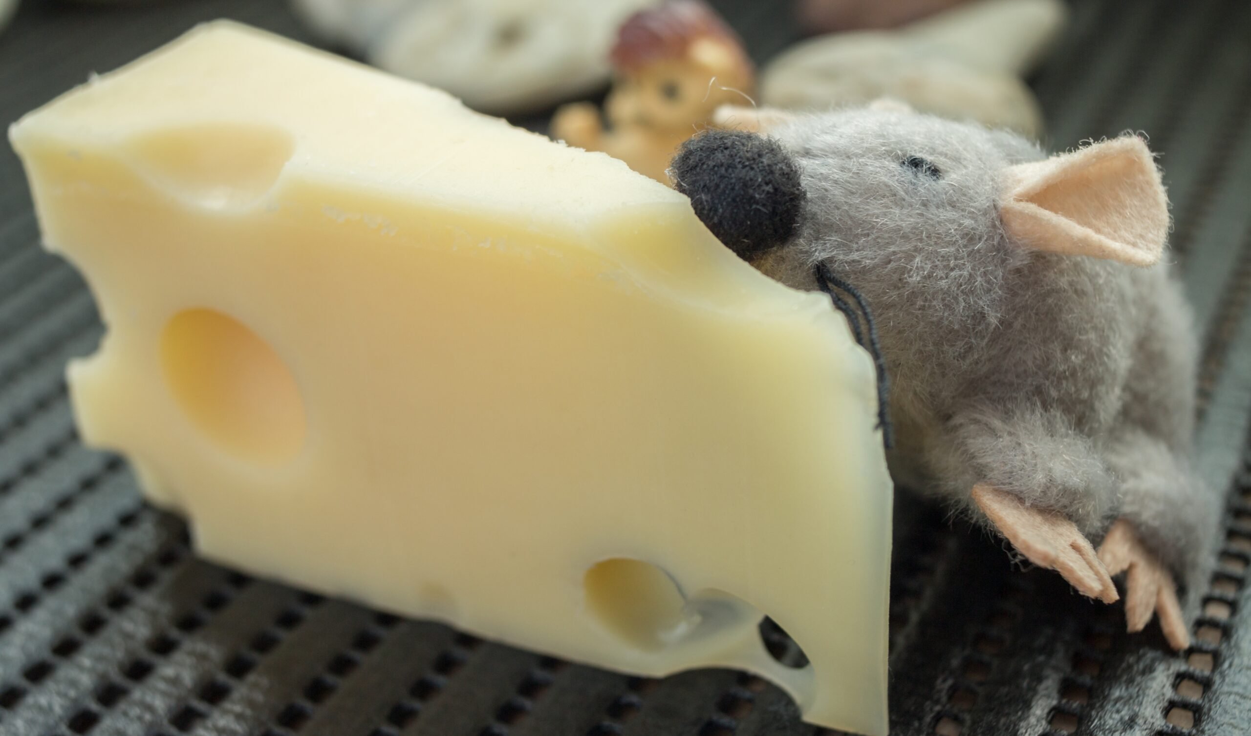 Are Mice Really Attracted to Cheese?