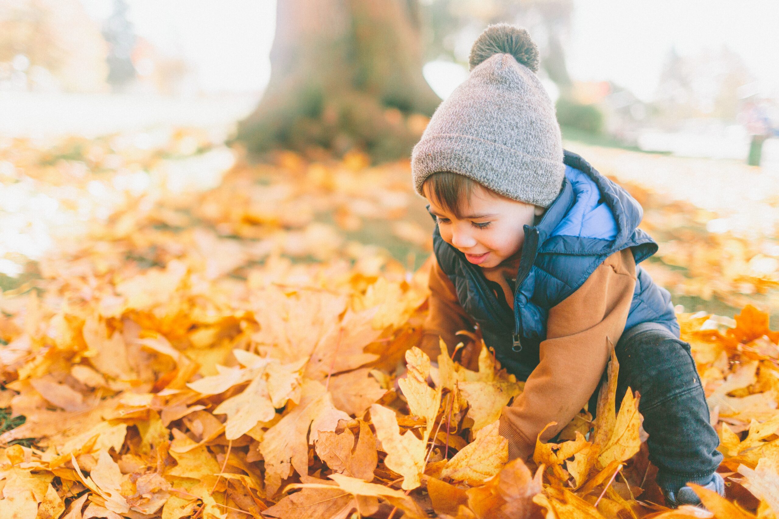 Does Fall Foliage Attract More Pests and Rodents?