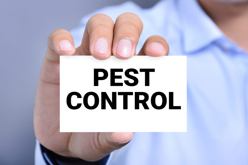 Pest Control Services