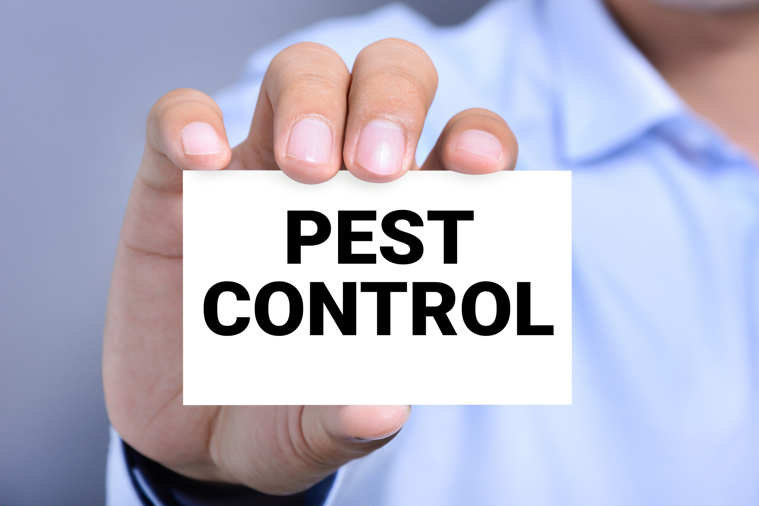 Pest Control Services