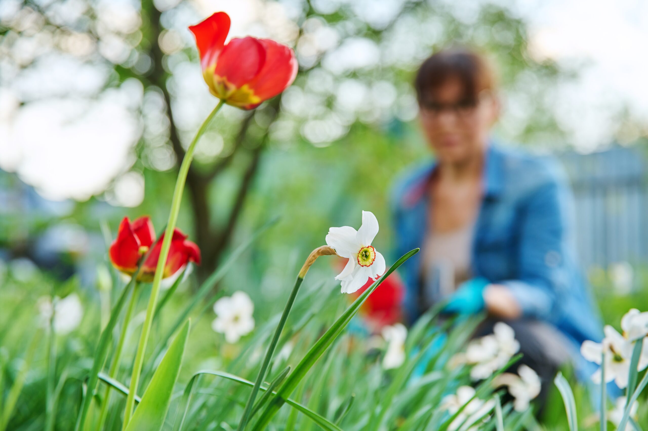 Landscaping Tips to Keep Pests at Bay