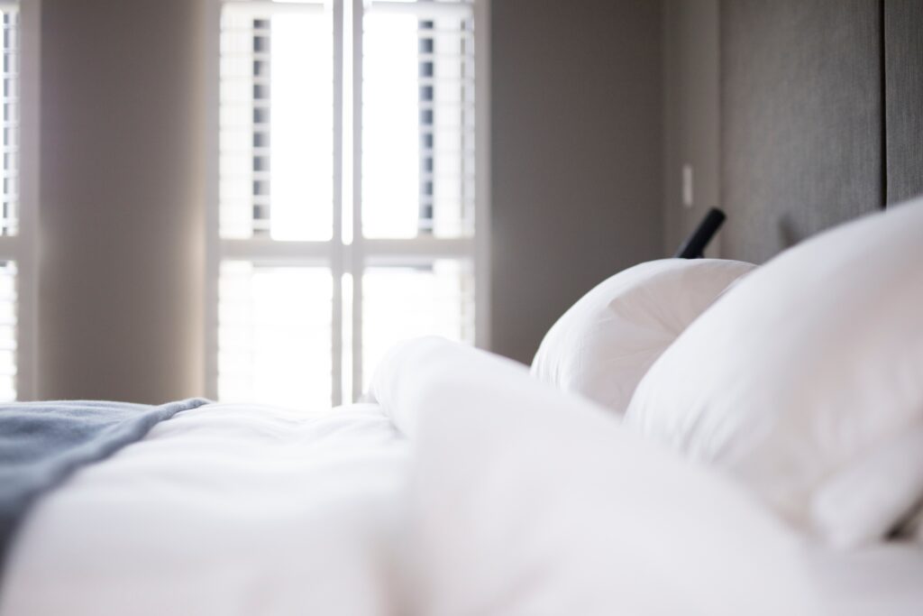 Monroe Bed Bug Exterminator