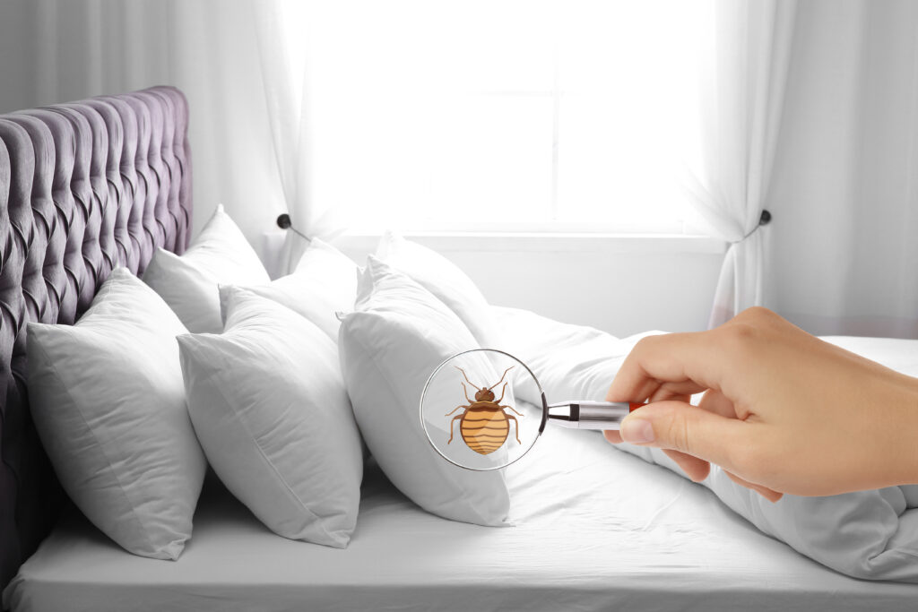 Elmore Bed Bug Exterminator