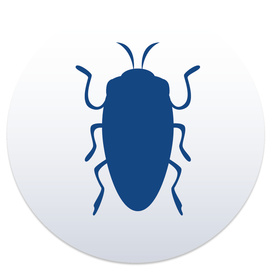 Bed Bug Treatment Services