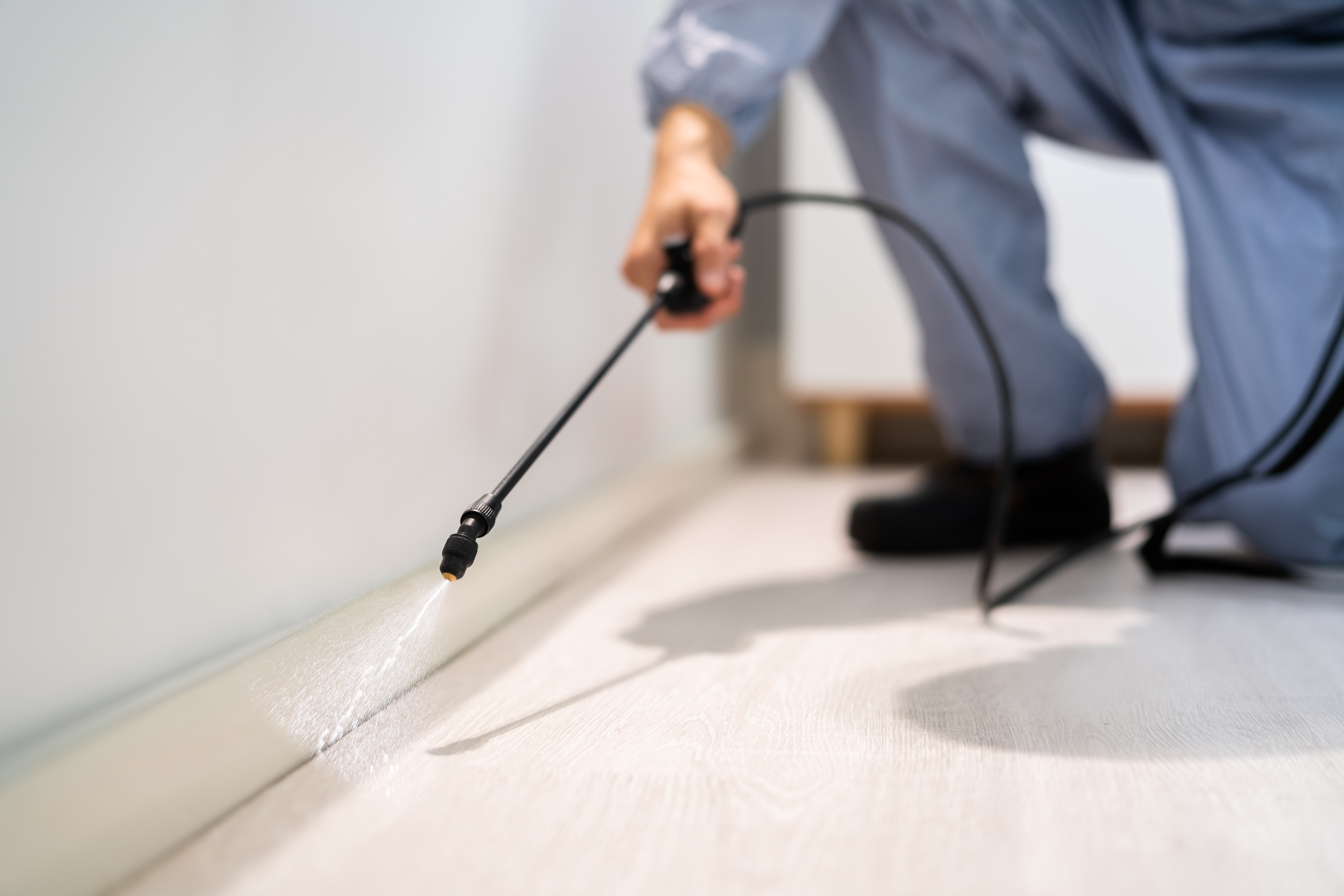 Pest Control Frequency