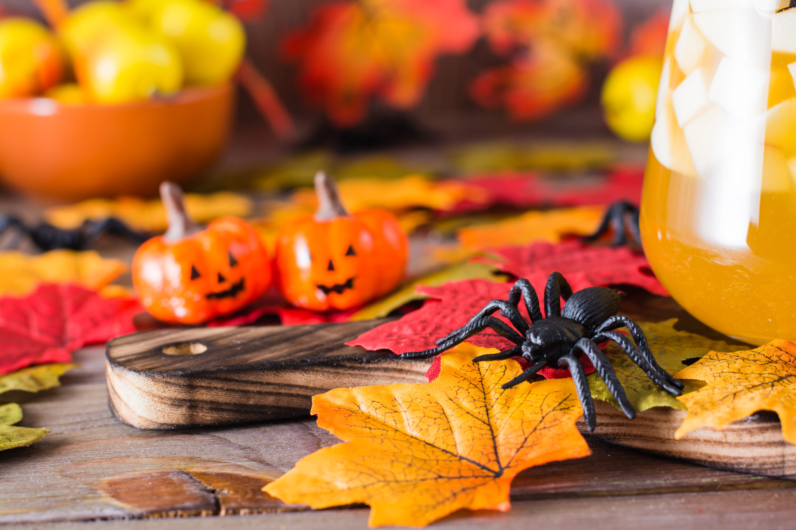 Spiders Love Fall