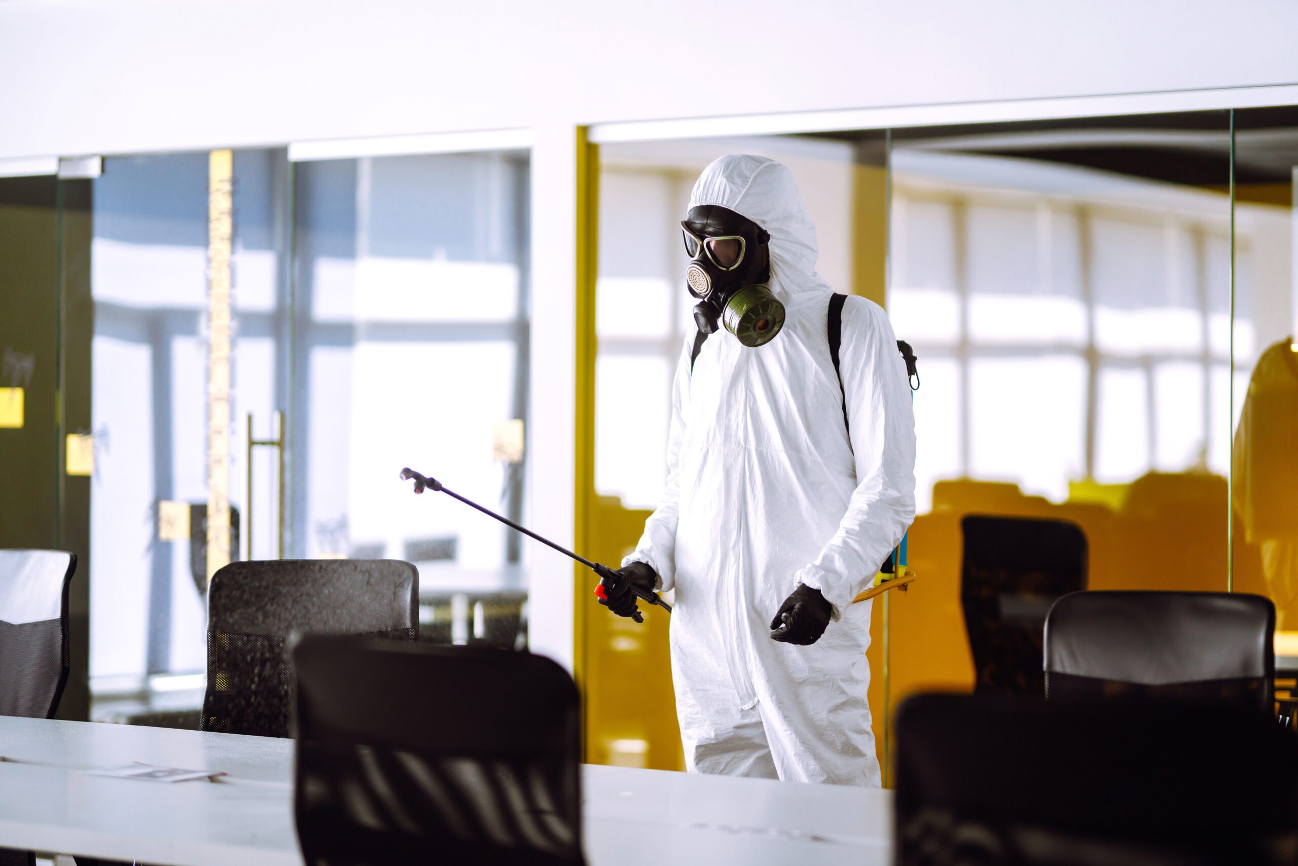 Pests That Threaten Your Business