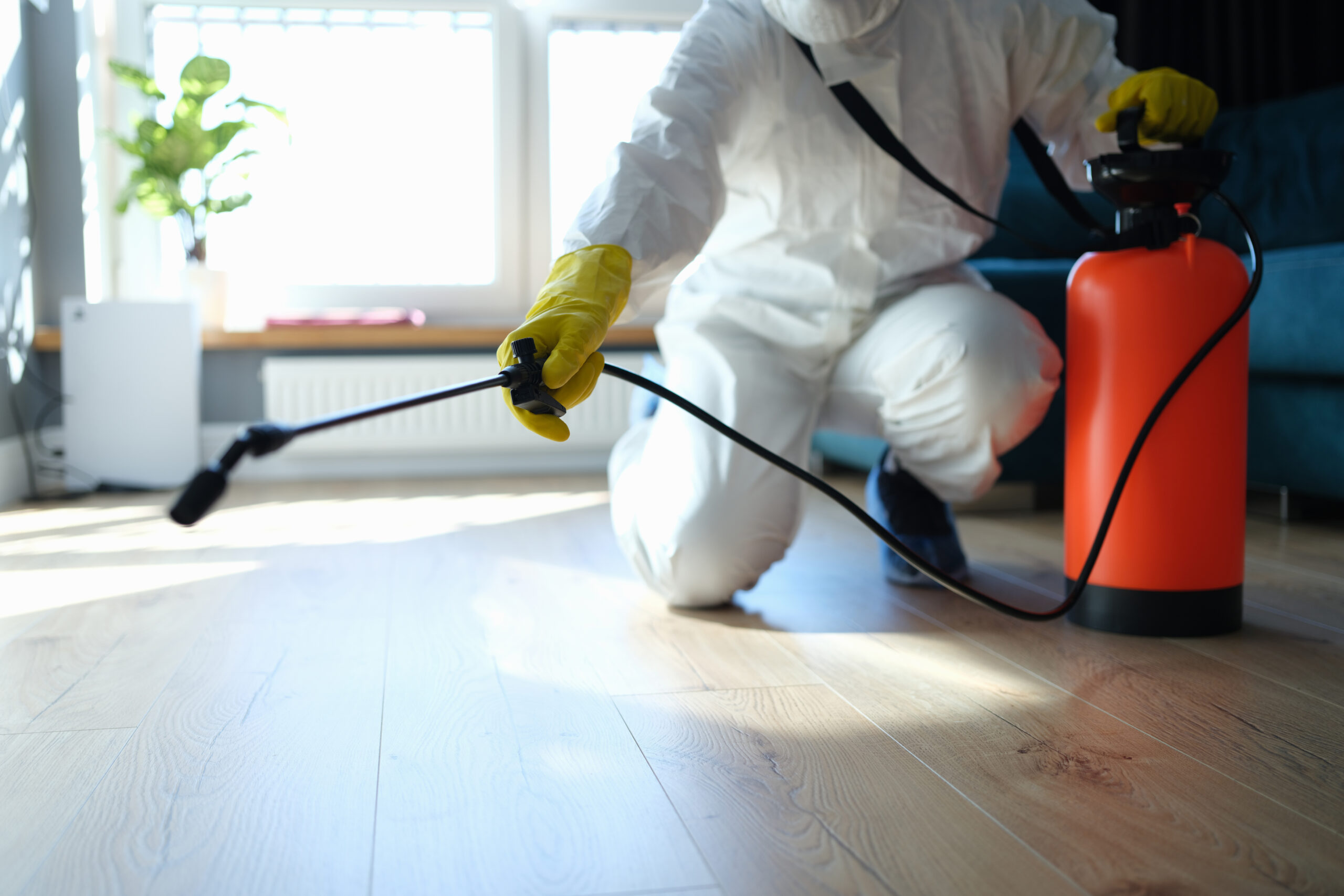 how often should you schedule pest control treatments