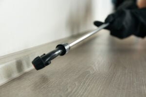 One-Time vs. Ongoing Pest Control