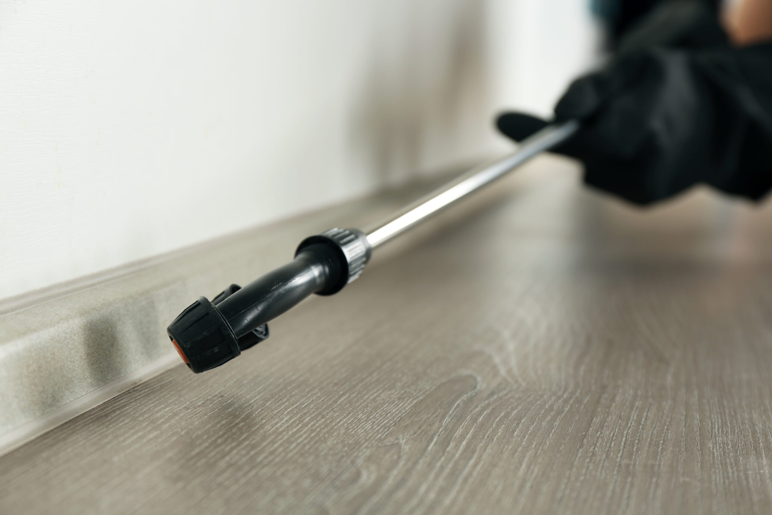 One-Time vs. Ongoing Pest Control