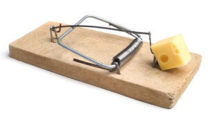 Store Bought Mouse Traps Aren’t Enough