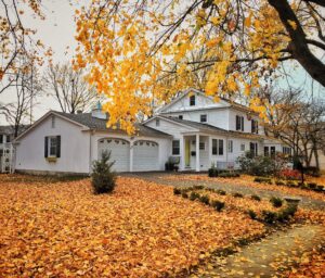 Pests and Rodents Enter Your Home in the Fall