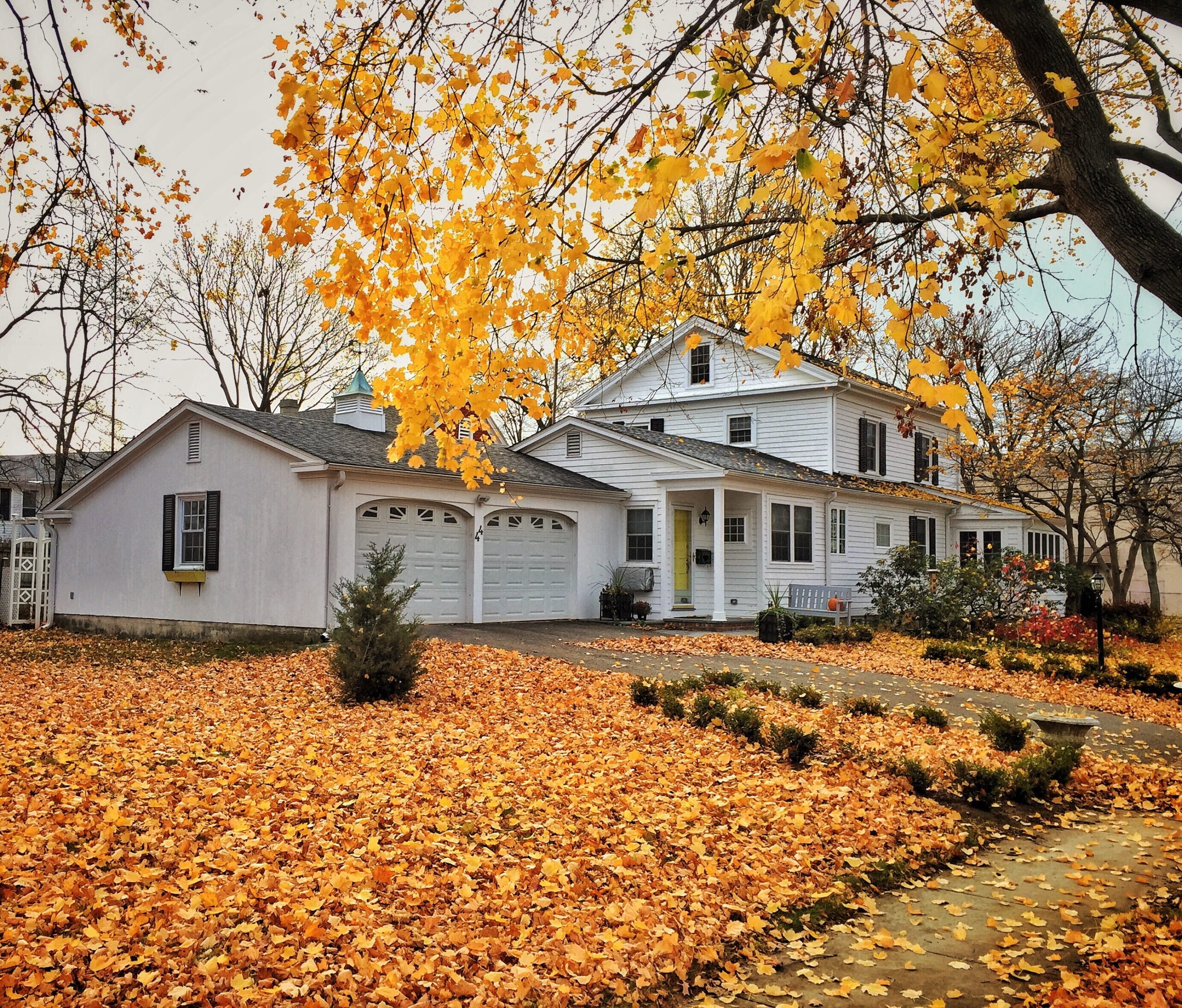 Pests and Rodents Enter Your Home in the Fall