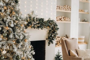 Are Pest Control Treatments Safe