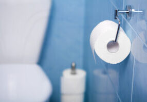 Common Bugs You May Find in Your Bathroom