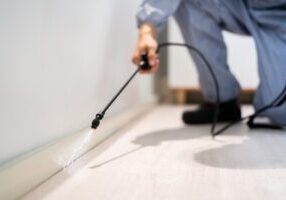 Pest Control Frequency