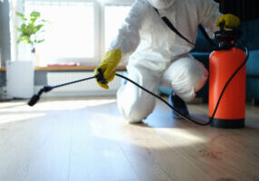 how often should you schedule pest control treatments