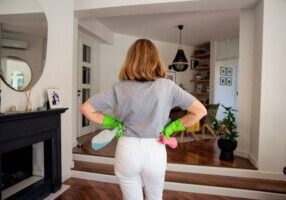 Pest Control Treatment