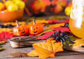 Spiders Love Fall