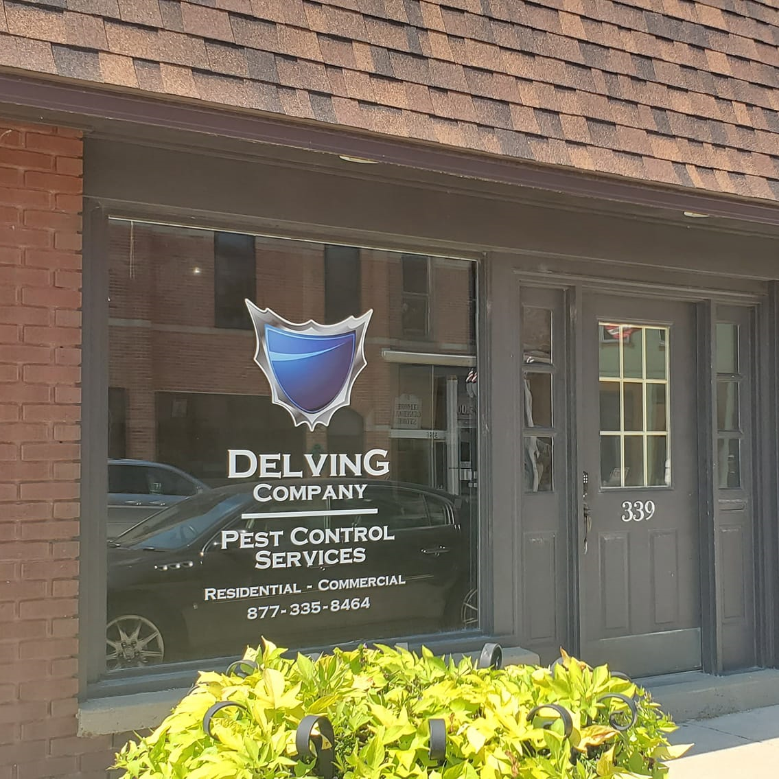 delving pest control.jpg delving pest control.jpg